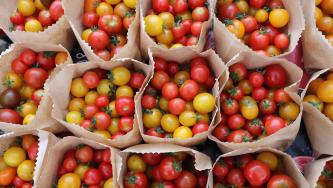 Small red and yellow tomatoes divided into paper bags