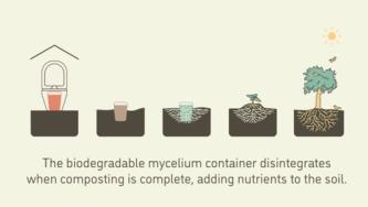 The MycoToilet project’s objective is to develop and conduct a field test of a working prototype at the UBC Botanical Garden. The on-ground demonstration of the working prototype will generate valuable data regarding the use and effectiveness of the toilet in a real-world setting and creates an opportunity reduce operational dependency on biocides and other toxic chemicals at UBC
