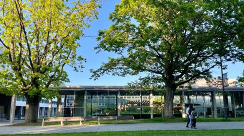 UBC Trees