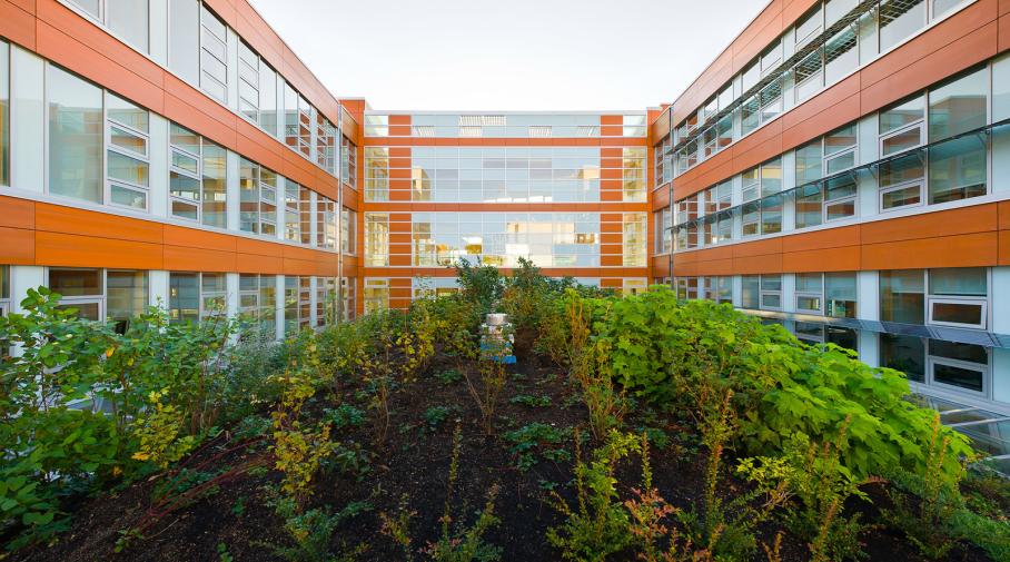 The living roof performs important ecological services at both the building and the campus scale.