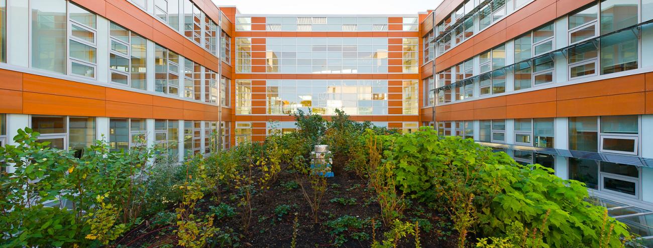 The living roof performs important ecological services at both the building and the campus scale. The living roof performs important ecological services at both the building and the campus scale.