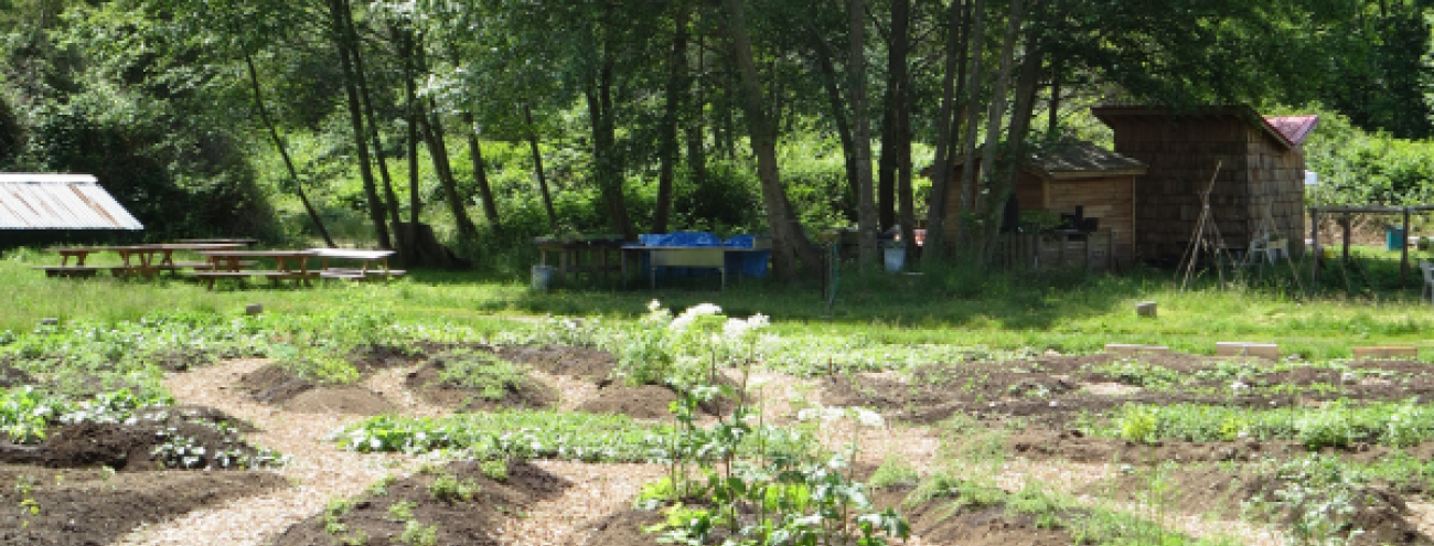 Garden Garden