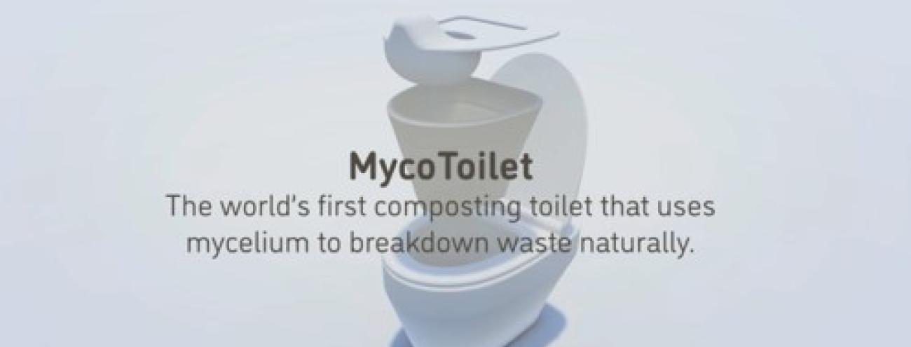 MycoToilet_1.jpg MycoToilet_1.jpg