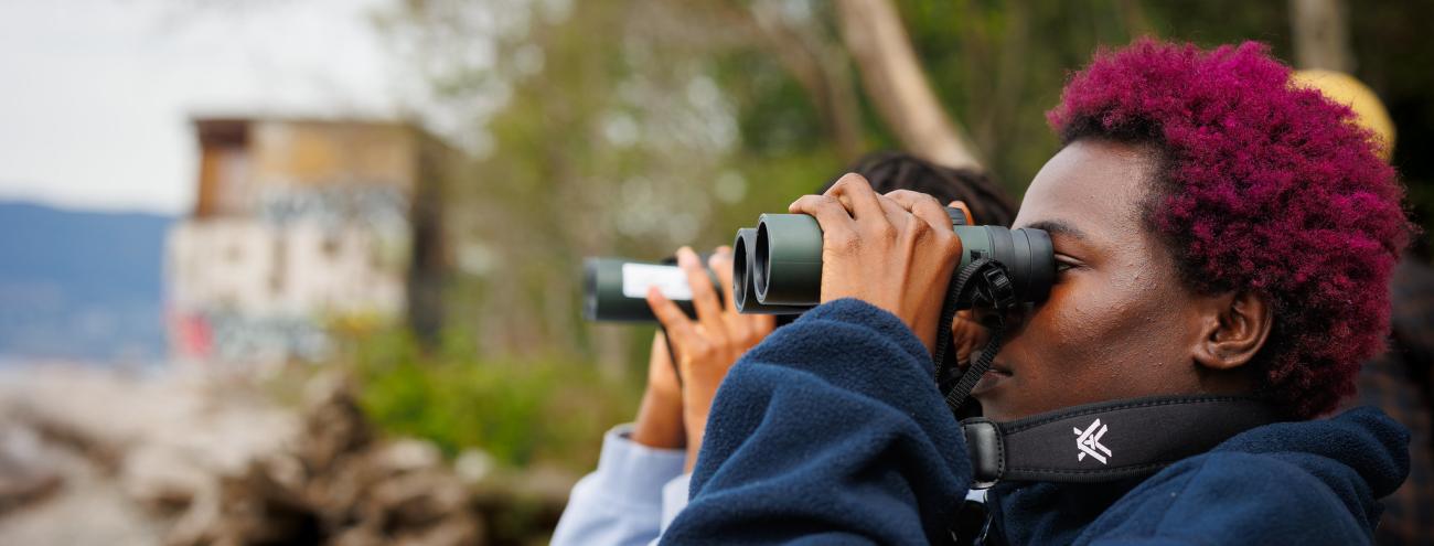 Bird-watch Bird-watch