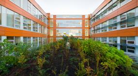 The living roof performs important ecological services at both the building and the campus scale.