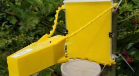 Automatic insect monitoring devices like this one were installed throughout the UBC campus.
