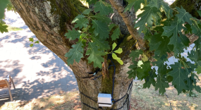 Data logger (Raspberry Pi)