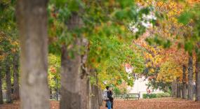 Building a Better Understanding of Urban Ecosystems: The First-Year Pilot of CTMAIN Project Targets 20 Trees to Prototype a Methodology for Assessing Tree Traits, Microbial Communities, and Insect Biodiversity.