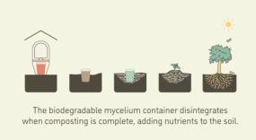 The MycoToilet project’s objective is to develop and conduct a field test of a working prototype at the UBC Botanical Garden. The on-ground demonstration of the working prototype will generate valuable data regarding the use and effectiveness of the toilet in a real-world setting and creates an opportunity reduce operational dependency on biocides and other toxic chemicals at UBC