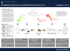 Carbon Cycle Poster Cover